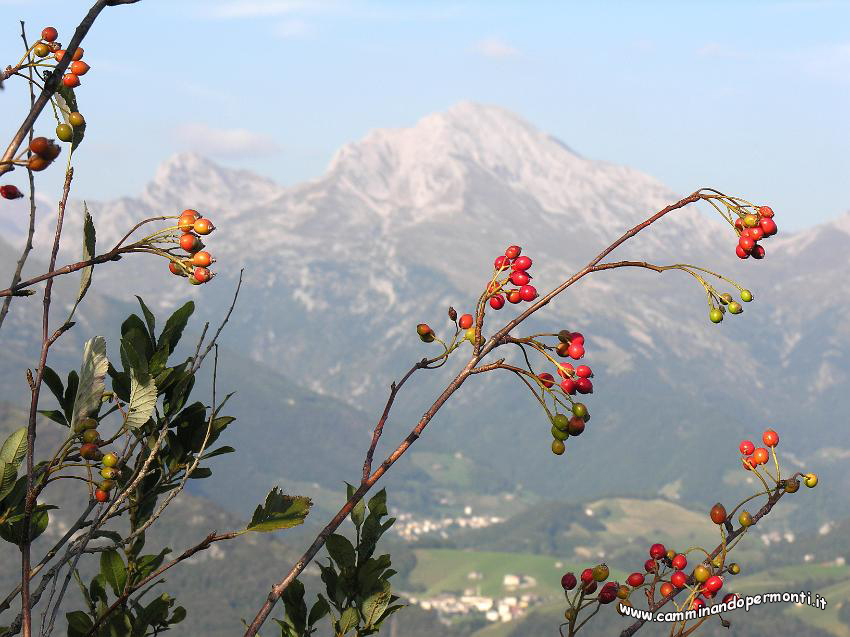 51 Pizzo Arera.JPG